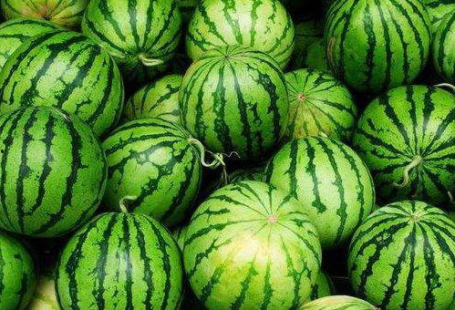 发烧吃瓜好吗,揭秘网络热议背后的真相与趣味