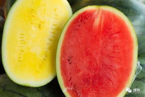 柳州民高吃瓜,揭秘校园里的网络热议风云