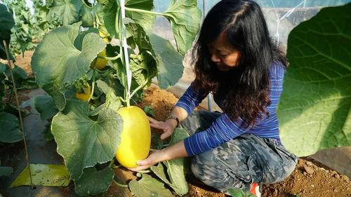 艳子带你吃瓜,畅游味蕾盛宴之旅