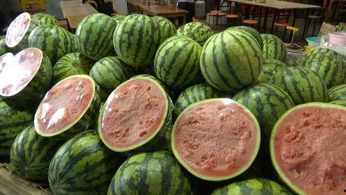 哪个朝代吃瓜自由,吃瓜自由的盛世画卷