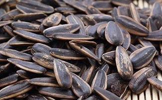 吃瓜是吃瓜子嘛还是瓜子,吃瓜与瓜子，你了解多少？