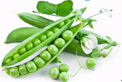 豆瓜可以隔夜吃么,豆瓜隔夜食用安全吗？